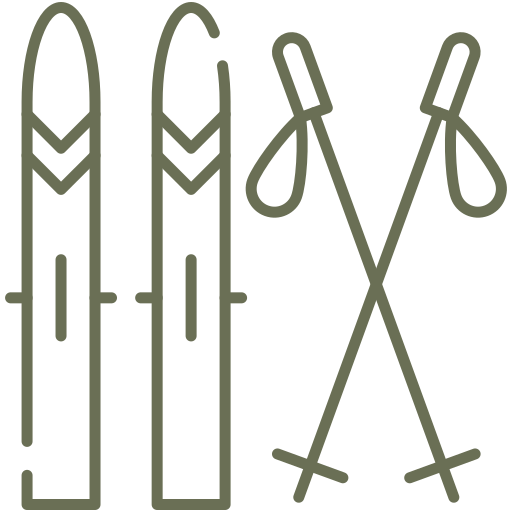 Ikon - ski og skistaver